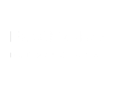 Frigidaire Professional